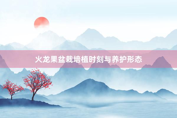 火龙果盆栽培植时刻与养护形态