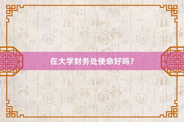 在大学财务处使命好吗？